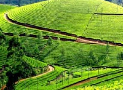 Lakshdweep With Kerela - Munnar - Thekkady Tour