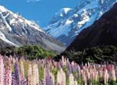New Zealand South Island Tour