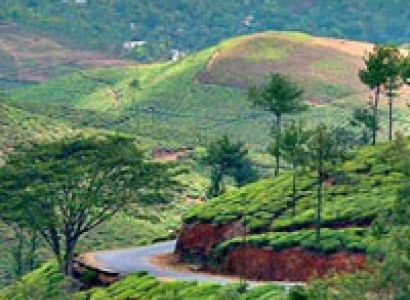 Glimpse Of Kerala Tour