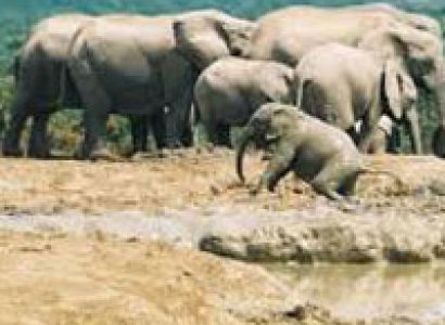 Spectacular South Africa Tour