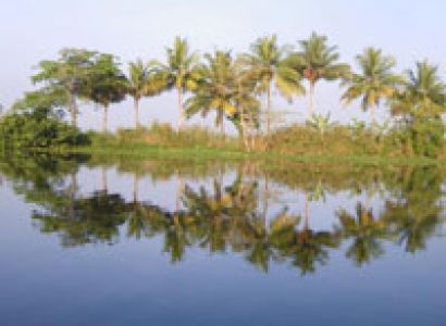 Kerala Honeymoon Package