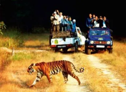 03 Nights /04 Days Jim Corbett National Park Itinerary Tour