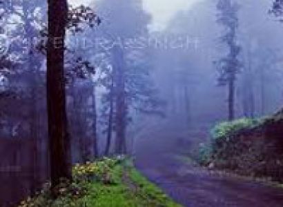 Manali to Shimla Jalori Pass Trek