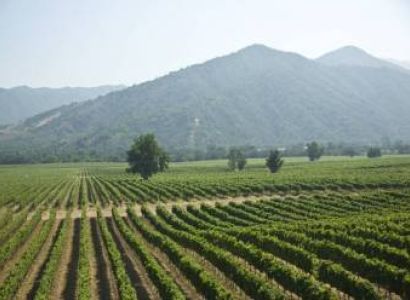 Usa West Coast – Family Van Tour