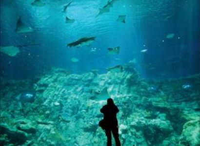 Hong Kong, Macau and Disney Land Special Tour