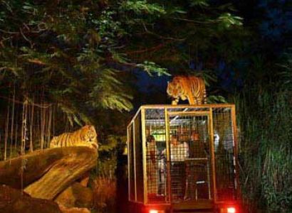 Singapore All Inclusive Tour