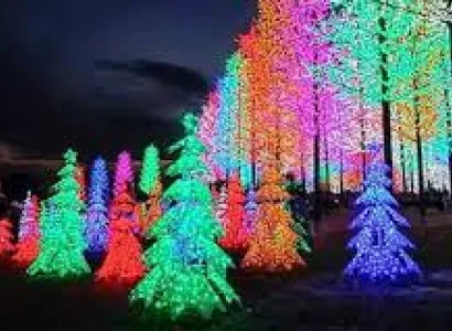 Shah Alam - Putrajaya Tour