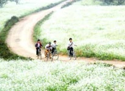 Mai Chau And Moc Chau Off Road Biking Tour 03 Days