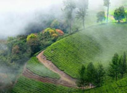 Munnar - Thekkedy - Alleppey - Kovalam Tour