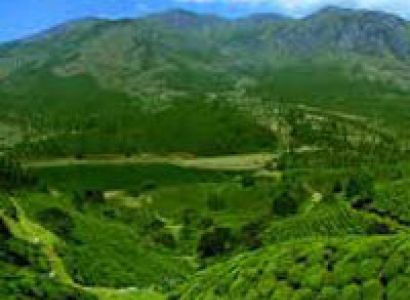 Hillstation Package - 4Night 5Days