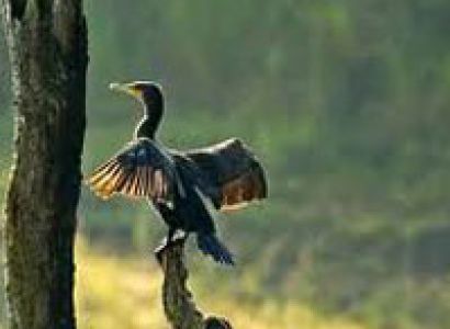 Spicy Thekkady Tour