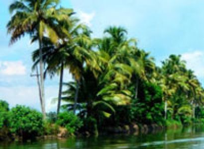 Alleppey Kerala Back water Package