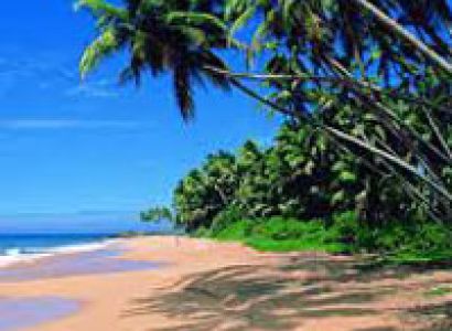 Victor Exotica Beach Tour