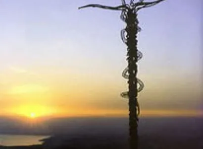 One Day Tour from Amman to Biblical Jordan