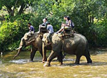 Chiang Mai Elephant Safari