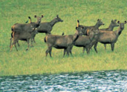 Kerala Tour - DP5B(CMPAC)