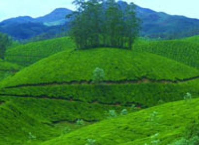 Kerala Tour - DP5H(CMAC)