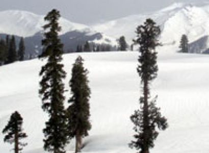 Winter Special Package