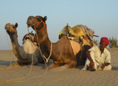 Rajasthan Wildlife Vacations Tour
