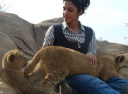 Rajasthan Wildlife Tour