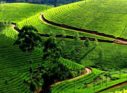 Darjeeling - Gangtok Tour