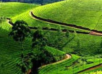 Kerala – God’s own country