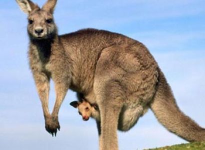 Marvellous Australia – 11 Nights & 12 Days TOUR