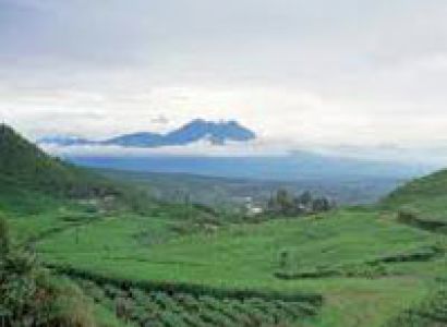 Jakarta - Puncak Tour