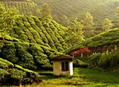 Kerala Tour