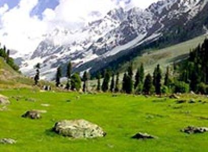 Srinagar Paradise Tour