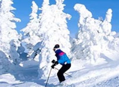 Kullu - Manali Package