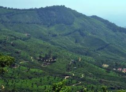 Cochin - Munnar - Thekkady - Kumarkom - Allepy - Kovlam Tour Package