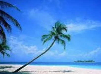 Beaches of Kerala Tour