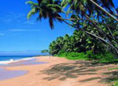 3Nights & 4Days Go Goa Tour Package