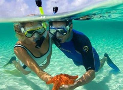 Xanadu Island Premium Package