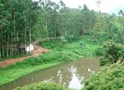 Blissful Rajasthan Tour