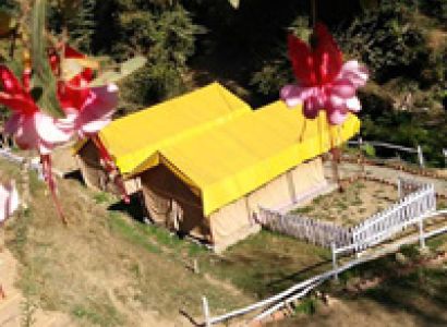 Camping In Shimla HP Tour