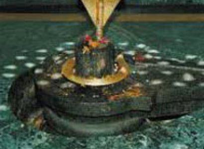 Camps in Himachal Tour