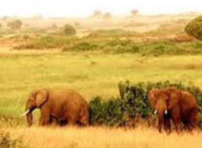 Queen Elizabeth Tour