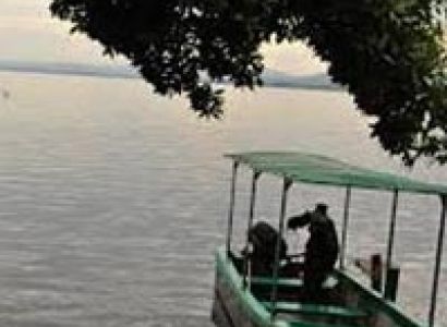 8 Days Uganda Safari Lake Mburo, Bwindi Gorilla Forest, Queen and Kibale National Parks Tour