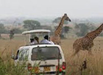 Birding Wilderness Tour