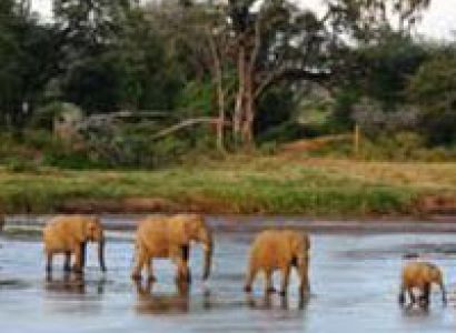 Samburu National Park Tour