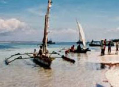 Bird Watching - Crab Plover Tour