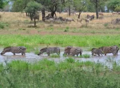 Sightseeing in Safari Uganda Tour