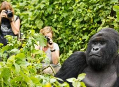 Gorilla Safari Uganda And Rwanda tour