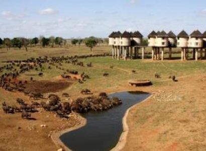 3 Days Tsavo East & Saltlick Safari Package