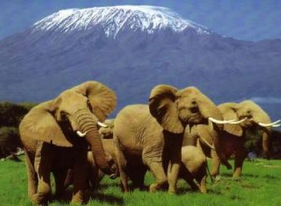 Tsavo East & Amboseli Package