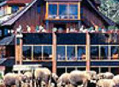 Samburu - Aberdare - Amboseli Tour