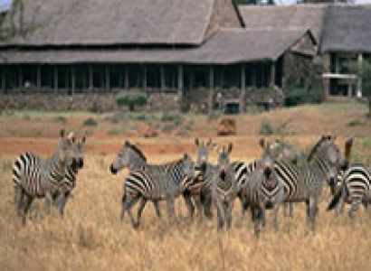 Serena Safari Special Tour Package