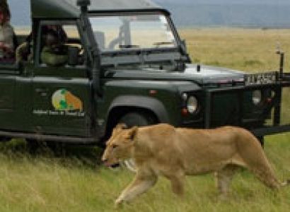 Wings Over Kenya Tour